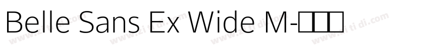 Belle Sans Ex Wide M字体转换